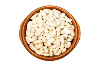 White beans of the Mongeta variety of the Ganxet