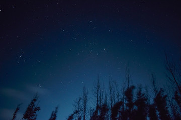 Naklejka premium Gwiaździste niebo