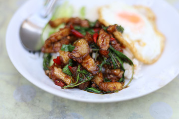 Rice topped with stir-fried pork and basil 