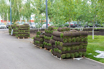 stacks of sod rolls on pallets against of street. rolled grass lawn is ready for laying