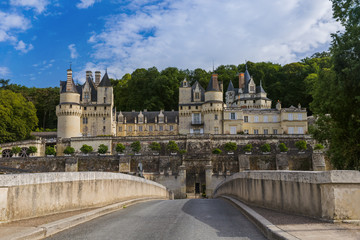 Fototapeta na wymiar Usse castle in the Loire Valley - France