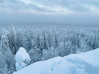 Frosty day in snowy coniferous forest. Location place of Shunut Mount, Russia, Europe. Incredible wintry wallpapers. Discover the beauty of earth.