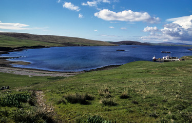 Fototapeta na wymiar Réserve naturelle, Ile de Unst, Iles Shetland, Ecosse, Grande Bretagne