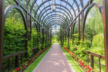 Wooden arched pergola in summer park