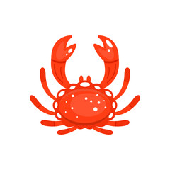 Decorative red crab vector illustration isolated on white. Marine animal.