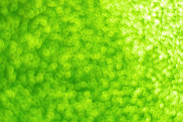 Green bright shiny background for text or design. The concept of the holiday invoice. Copy space template