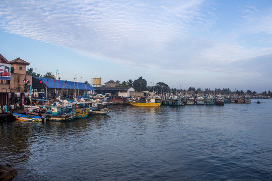 NEGOMBO, SRI LANKA - December 05, 2017. Opening a fish market in Negombo.