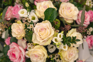 Fototapeta na wymiar colorful flowers and beautiful roses