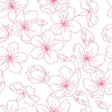 Sakura graphic flower pink color seamless pattern background sketch illustration vector