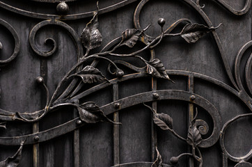 Beautiful decoration of metal gates, forged elements