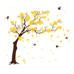 Spring apricot tree and the swallows