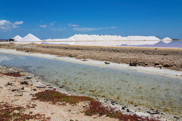 Salt lake with salt hills on island Bonaire