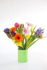 bunte Frühlingsblumen