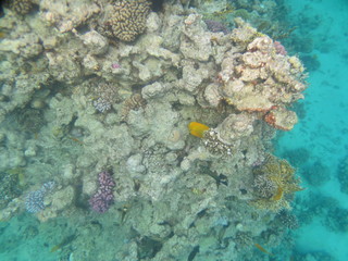 Egypt Sharm Al Sheikh