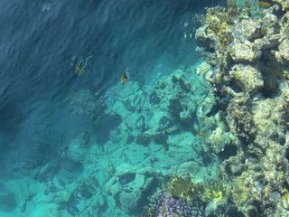 Egypt Sharm Al Sheikh