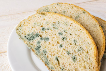 Close-up of stale bread with green mildew on a white saucer over white wooden table. Spoiled bread with mold. Moldy fungus on rotten bread.