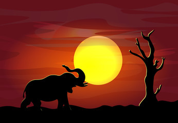 Fototapeta na wymiar African safari theme with elephant against the background of a big moon in a beautiful place, vector illustration.