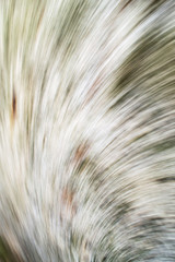  Spiral abstract black and white texture