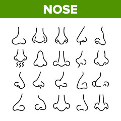 Nose Human Face Organ Collection Icons Set Vector Thin Line. Nose Anatomy Body Part In Different Form, Allergic Sick Nasal Concept Linear Pictograms. Monochrome Contour Illustrations