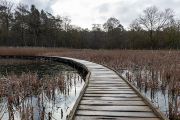 Fototapeta premium Kelchterhoef park which is a wonderful family-friendly walking park located in Wijers, Limburg, Belgum
