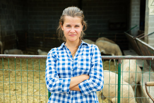 Upset Woman Farmer Near Stall Of Sheeps