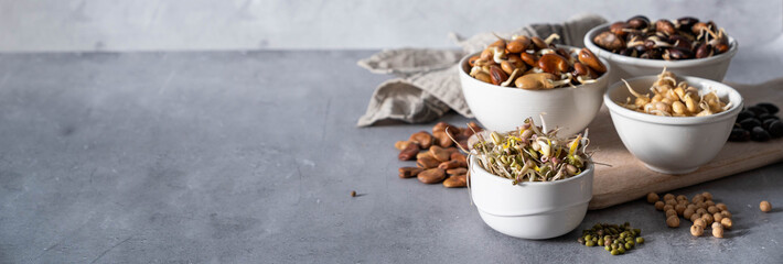 Selection of sprouted legumes - beans, chickpea, mung, rustic background