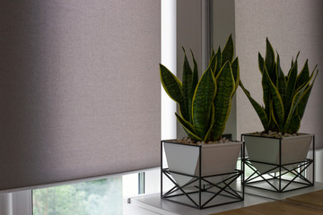 Automatic roller blinds on the window. A houseplant in a modern pot stands on the bedside wooden...