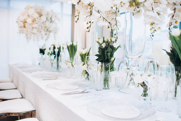formal luxury elegant wedding decor restaurant tables served white tablecloth, plates, menus, glasses, tulips in vases, orchids, candles silver chairs, blue background