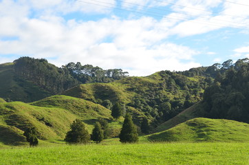 Colline Nouvelle-Zélande