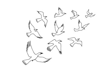 birds are flying, flock. eps10 vector stock illustration. out line