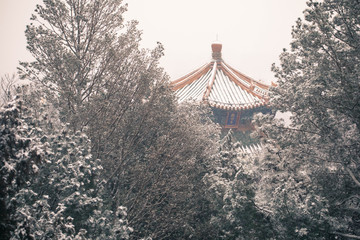 Snow in a Chinese Temple