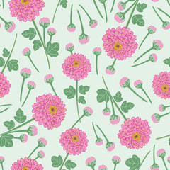 Chrysanthemum flowers seamless pattern on green background