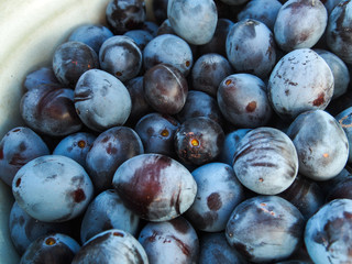 fresh blueberries on wooden background