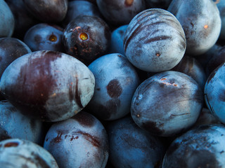 fresh plums on a black background
