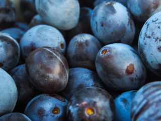 fresh plums on wooden background