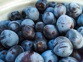 fresh blueberries in a bowl