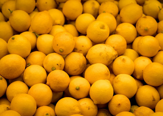 Cecilian lemon Fresh and delicious organic fruits and vegetables