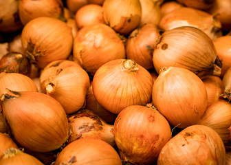 Onion Fresh and delicious organic fruits and vegetables