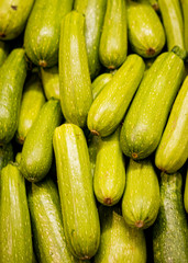 Zucchini Fresh and delicious organic fruits and vegetables