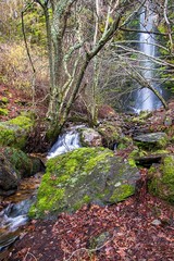 Cascada