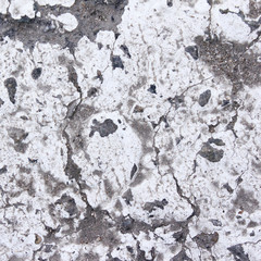 the background is erased with white paint on the road