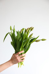 Conceptual image of a woman holding spring flowers as present for international women's day. Close up, copy space, background.