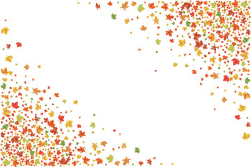 Colorful maple leaves.