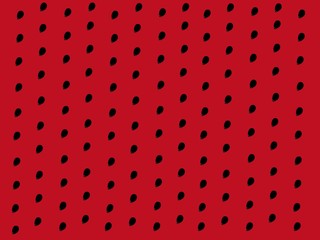Watermelon seeds on background texture red.