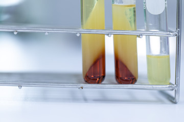 Biodiesel production is the process of producing the biofuel, biodiesel, in laboratory.