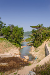 river in the forest with bridge crossing it