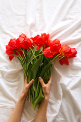 Woman hand hold pink tulip flowers on pink background. Flat lay, top view festive spring flower concept. Punchy pale flowers background.