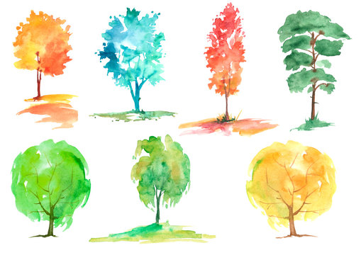 Watercolor set of autumn trees and bushes. Landscape, ladnshaft forests, parks, gardens, groves.Maple, oak, apple tree, cedar, pine, aspen, birch, willow, birch and others.Isolated on white background