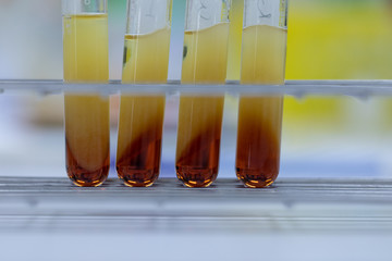 Biodiesel production is the process of producing the biofuel, biodiesel, in laboratory.