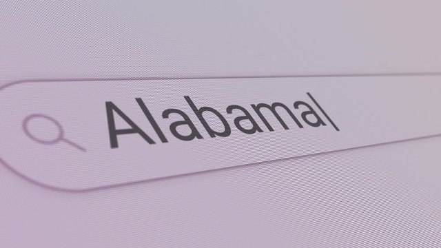 Alabama Search Bar Close Up Single Line Typing Text Box Layout Web Database Browser Engine Concept